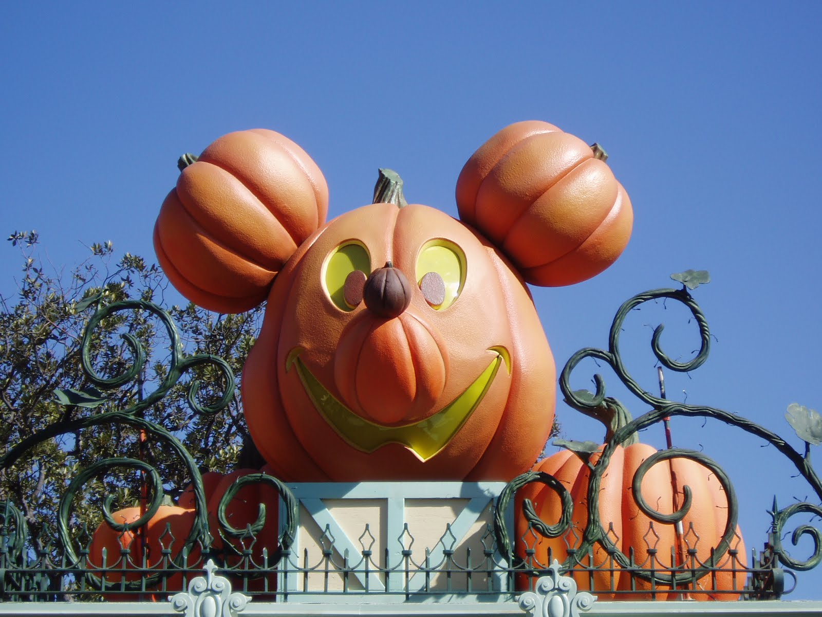 [BestBirthday+012.JPG]