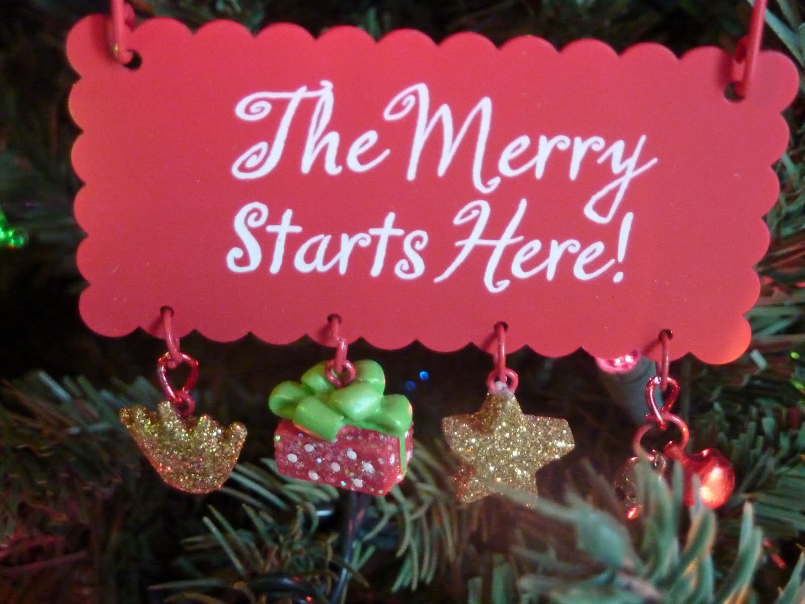 [New+camera,+Christmas,+misc+008.JPG]