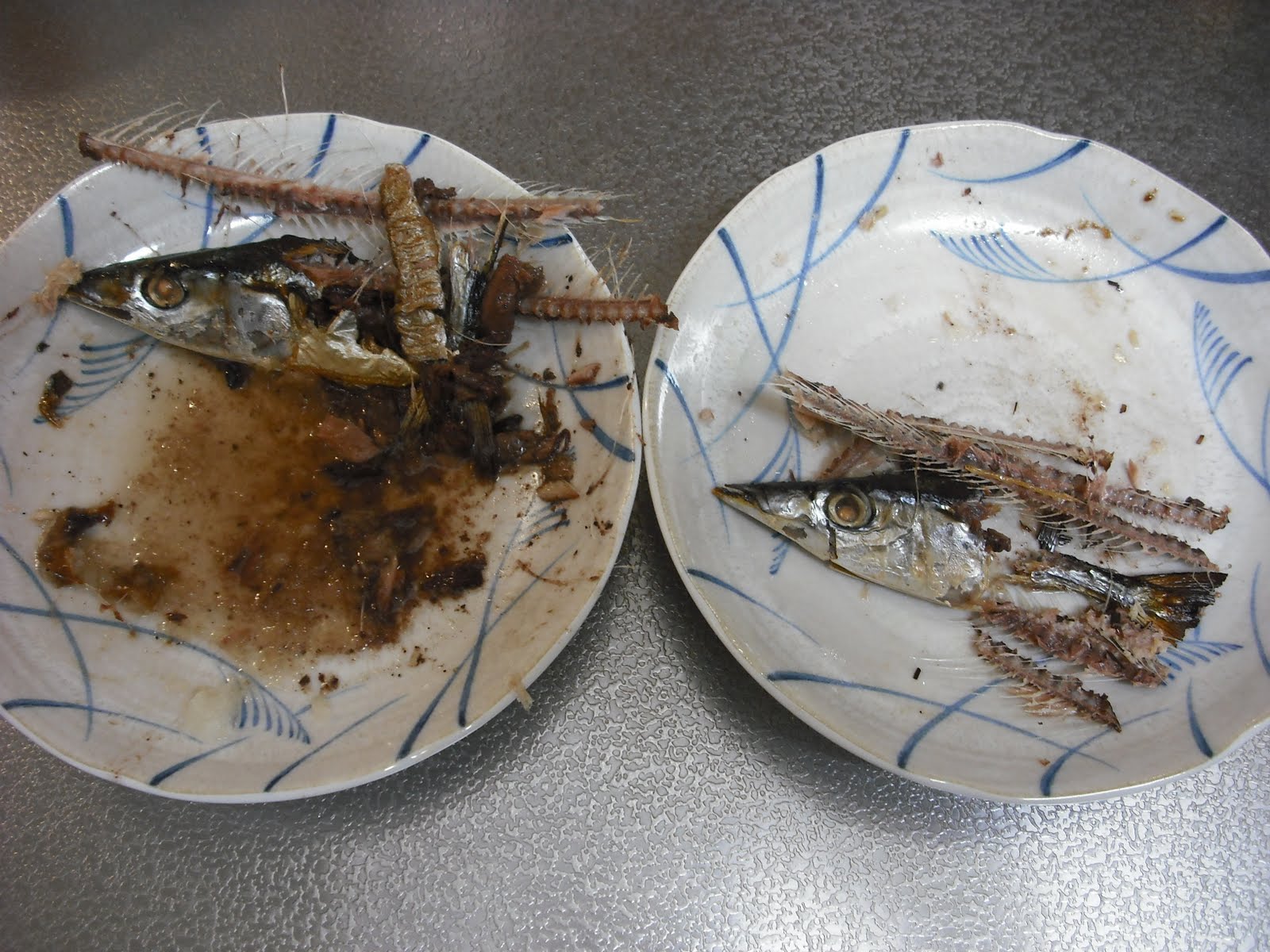 Hiroyuki's Blog on Japanese Cooking: Sanma (Pacific Saury)/サンマ（秋刀魚）