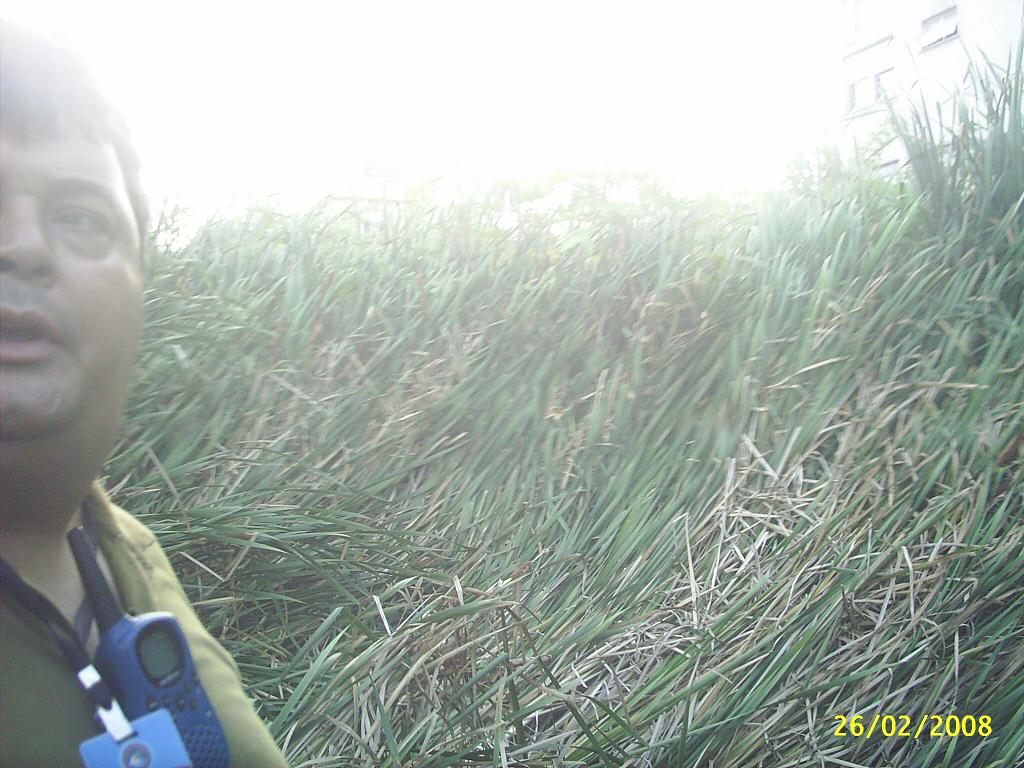 [ferreiraviana7.JPG]