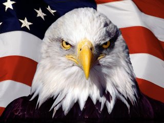 [American+patriot.jpg]