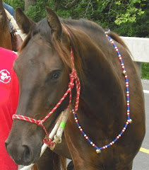 Parade Face