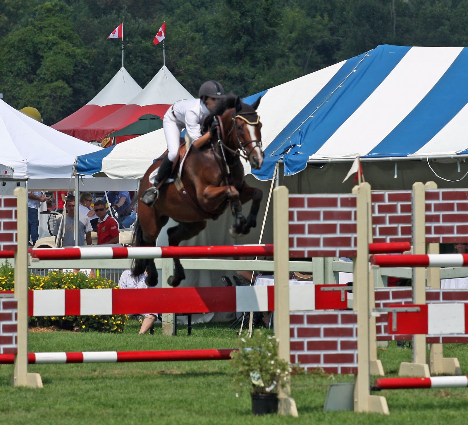 [IMG_1216_edited-1.jpg]