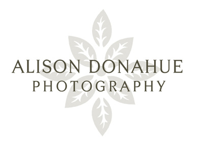 alison donahue photography