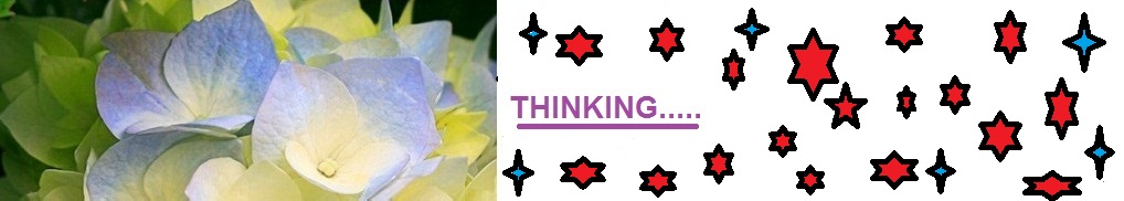 أنا أفكر إذن أنا موجود: أنا أفكر إذا أنا موجود