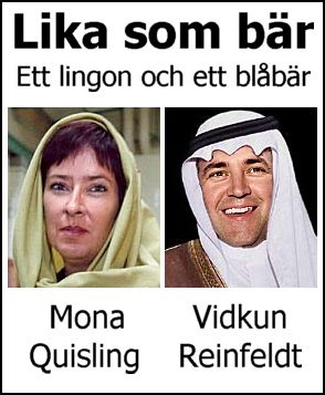 Mona Reinfeldt
