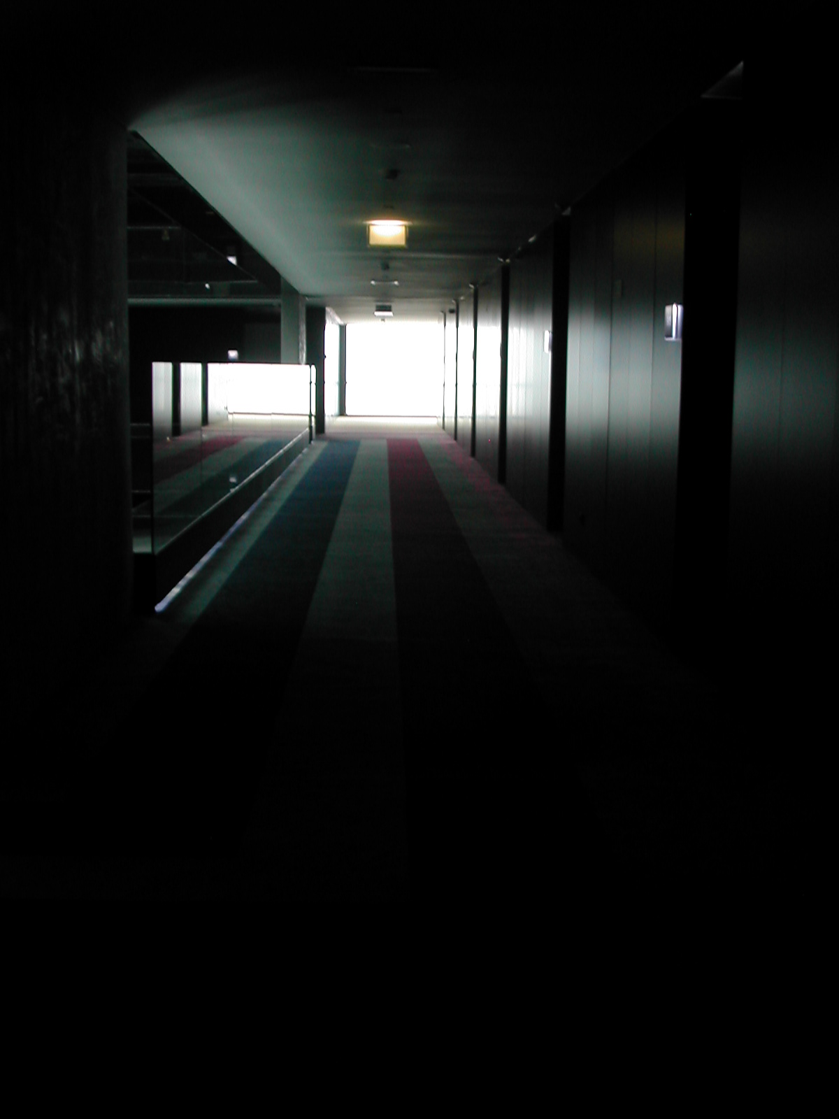 [DSCN3712.JPG]