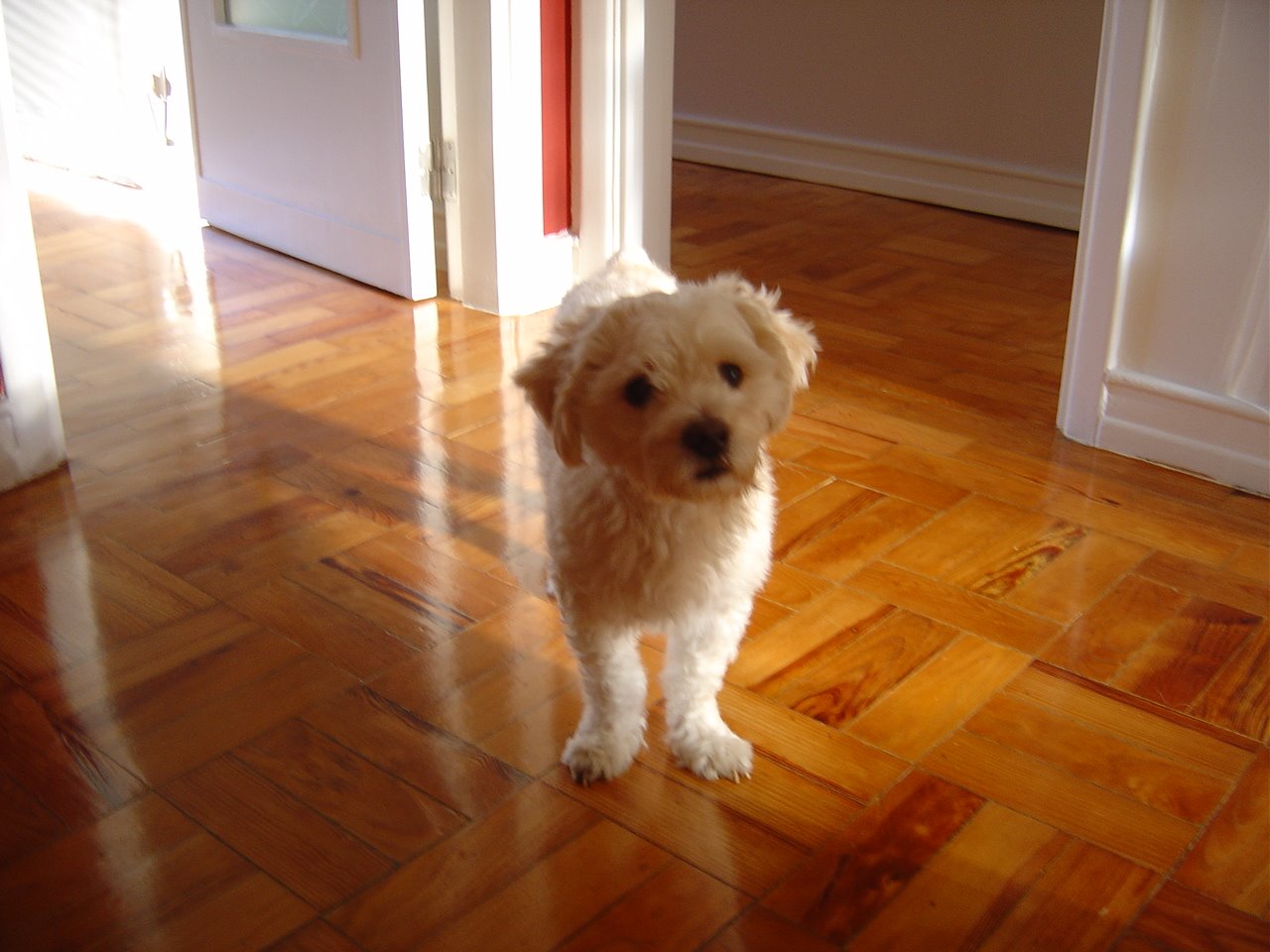 [DSC00149.JPG]