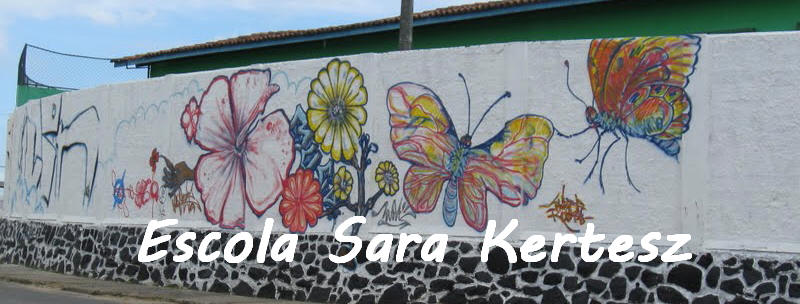 Escola Sara Kertesz