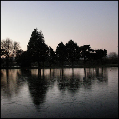 Early morning in Oxford, ice reflecting trtees
