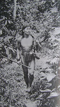 The Dayak Iban Hunter
