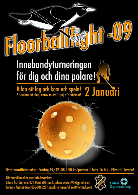 Floorballfight -09
