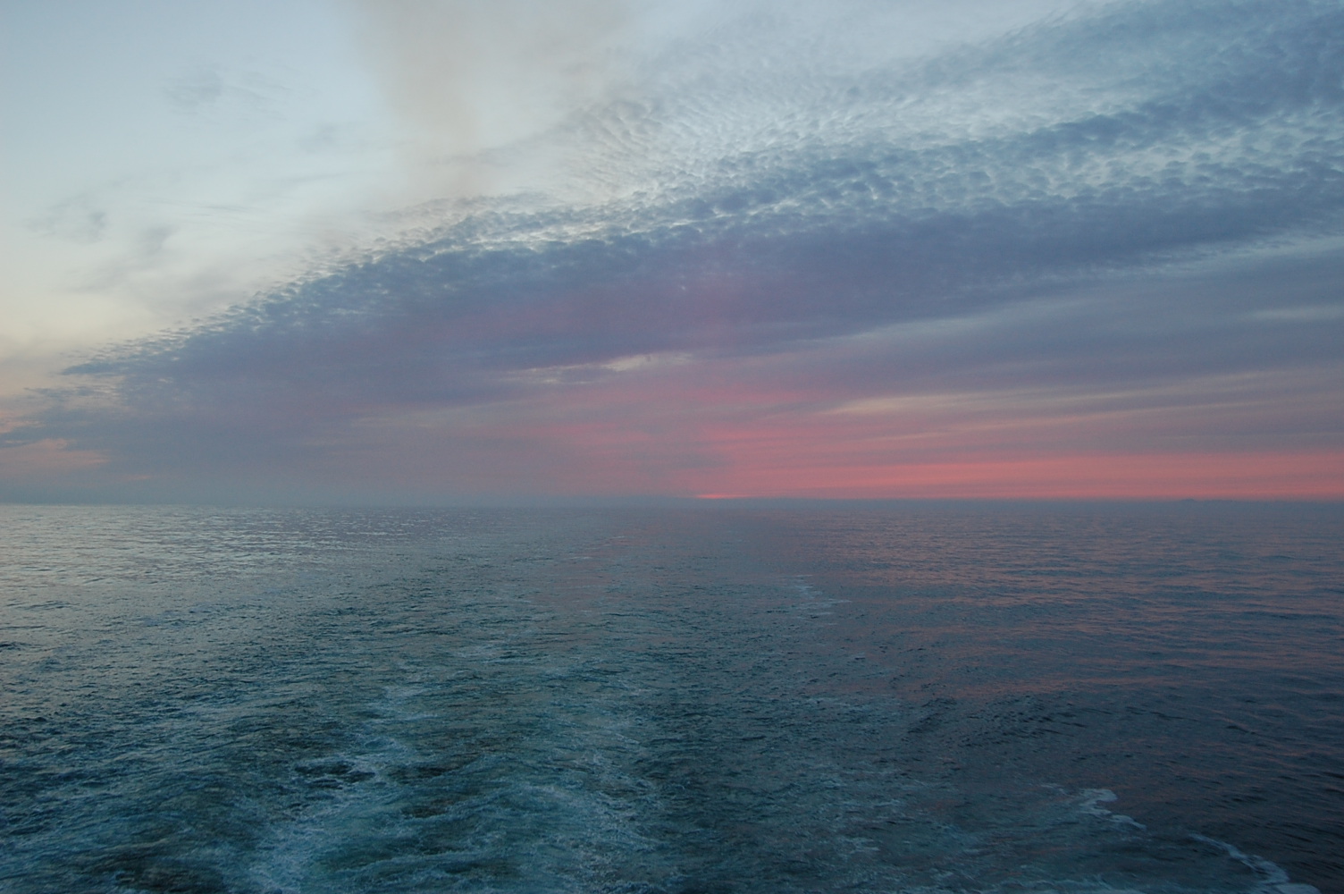 [DSC_0396.JPG]