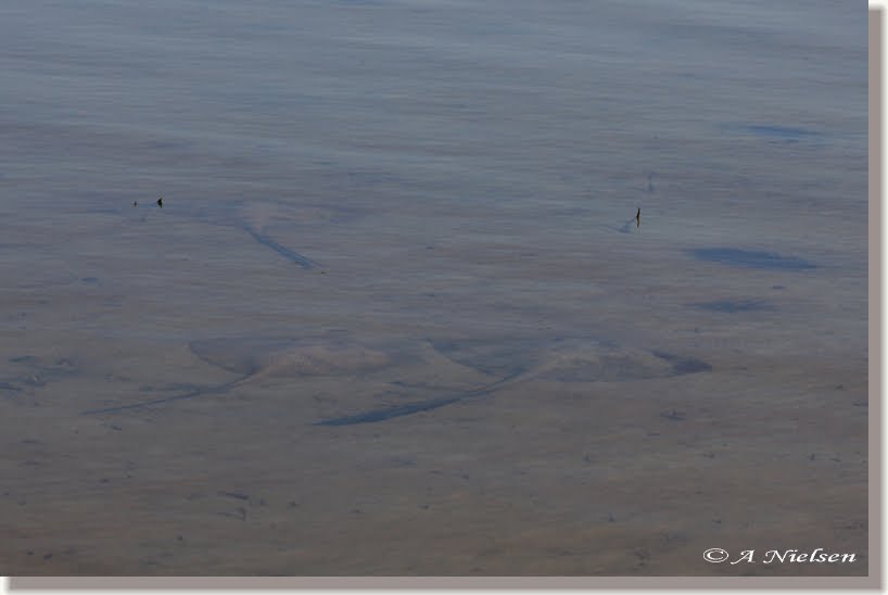 Out and about in Cooloola Tin Can Bay Cooloola Cove.