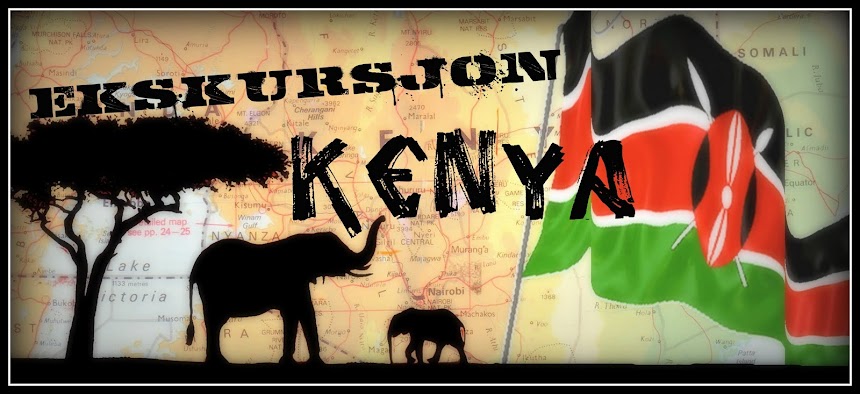 Ekskursjon til Kenya 2011