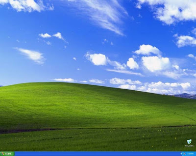 Origin of Windows XP Default
