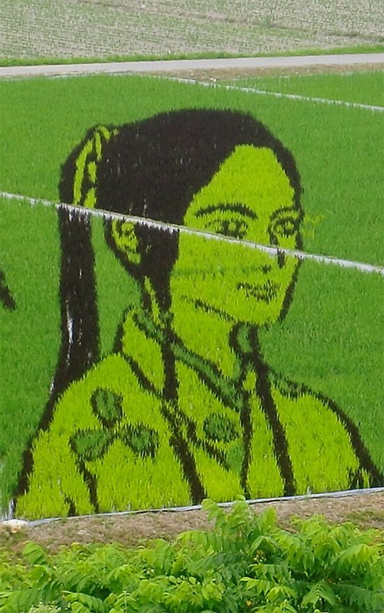 [Rice_Field_Art_18.jpg]