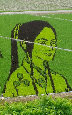 Rice_Field_Art_18.jpg