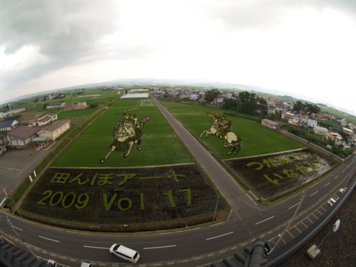 [Rice_Field_Art_04.jpg]