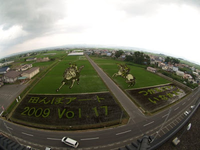 Rice_Field_Art_04.jpg