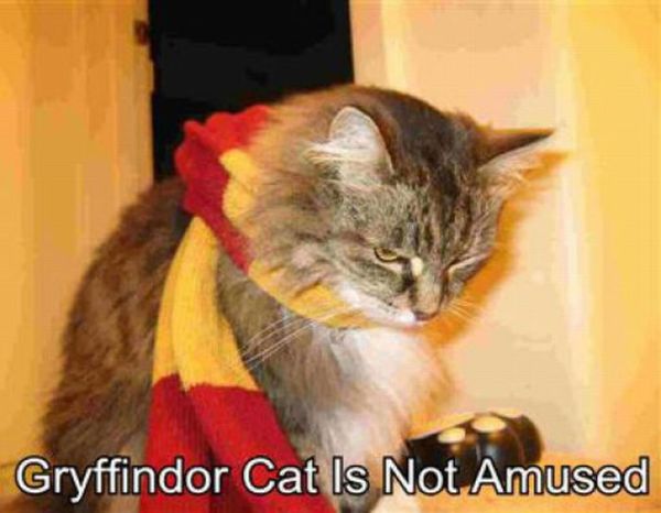harry_potter_pets_11.jpg