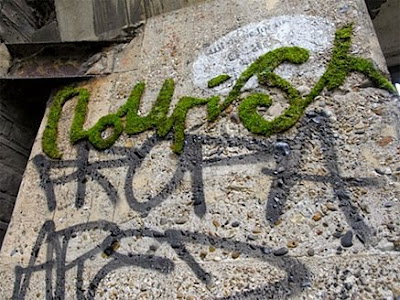natural, graffiti alphabet, plant