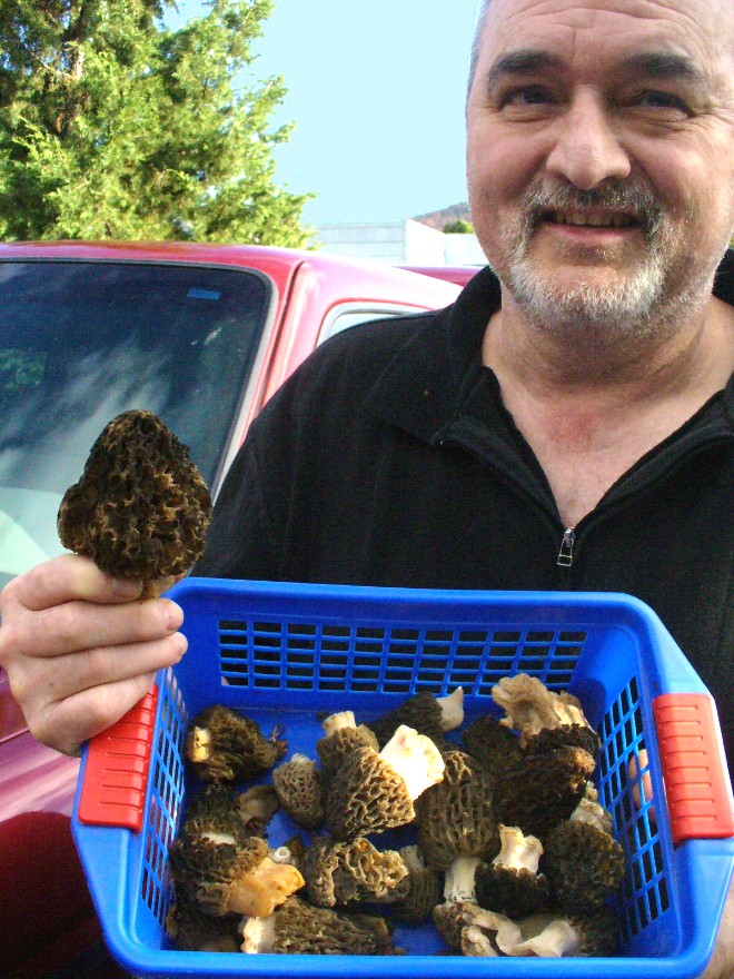 FreedFocus Morel Mushrooms in Oregon