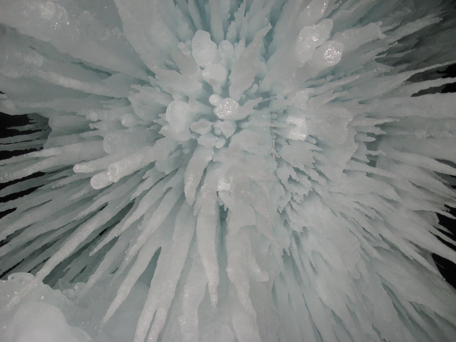 Ogden Insights Things To Do In Utah Midway Ice Castles