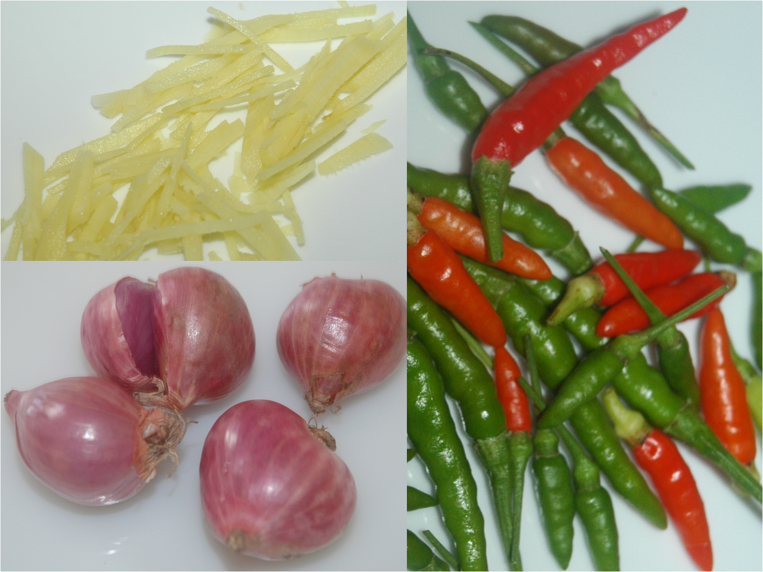 COOKINGVARIETIES FOOD AND HEALTH BENEFITS HOW TO COOK FRIEDSALTED