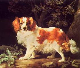 [Stubbs+KCSpaniel+Allposters.jpg]