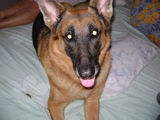 Tuti