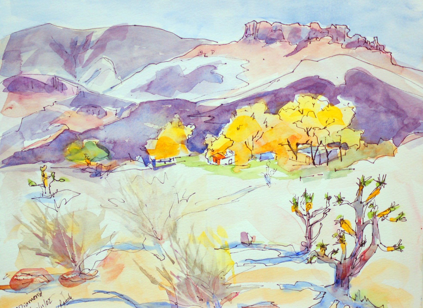 landscapes: Oliver Ranch