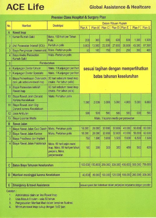 Gambaran Hospital Plan ACe life