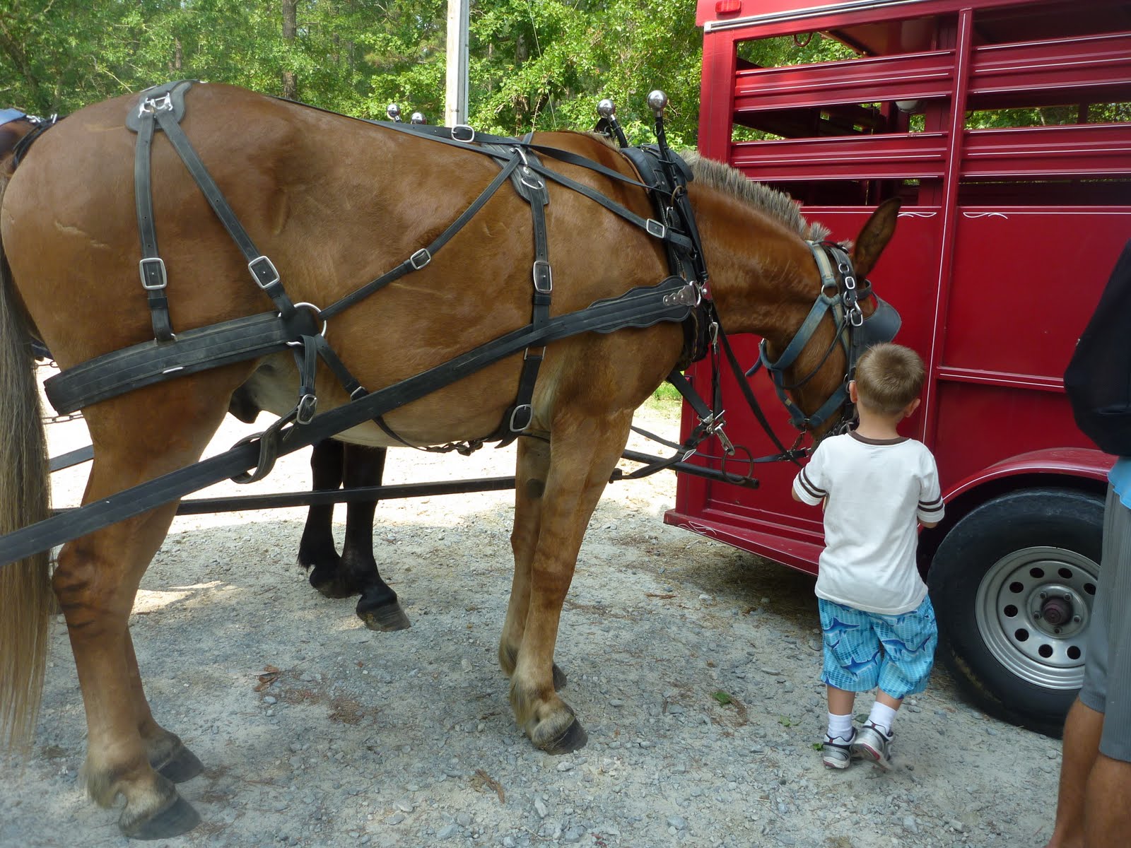 TO JENKINS' FARM CAMP ROCKFISH & RETREAT CENTER, PARKTON, NC