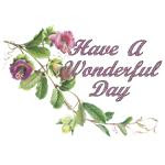 Have a wonderful day