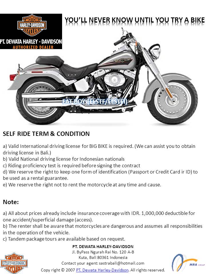 Ultraviolet Tours Bali HarleyDavidson Bali Bike Rental