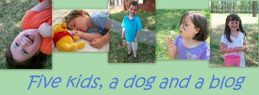 Five kids, a dog and a blog