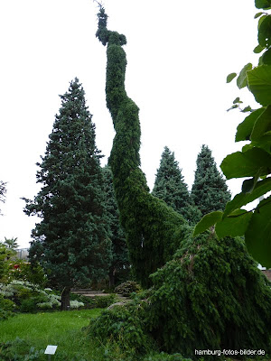 Neuer Botanischer Garten, Hamburg Botanischer Garten, Hamburg, Klein Flottbek, Baum, Skulptur