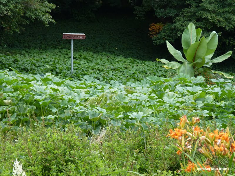 Hamburg Fotos Bilder Fotografien Hamburger Attraktionen