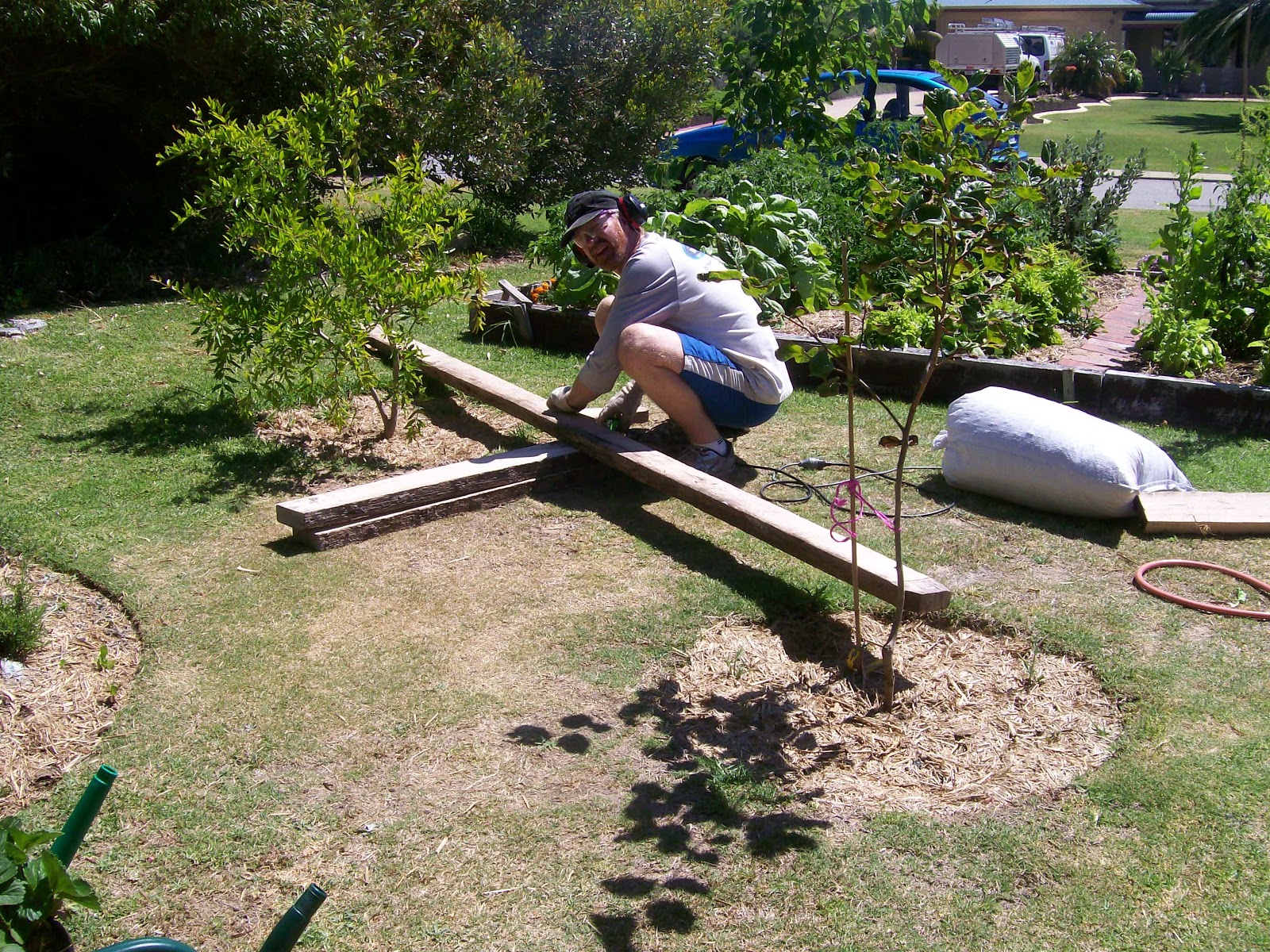Sustainable Sisters Team: Building a No Dig Garden - In Stages