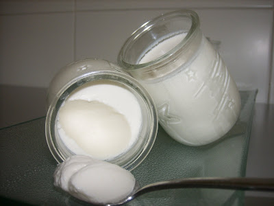 Yogurt natural en microondas