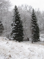 [southsnow2small.jpg]