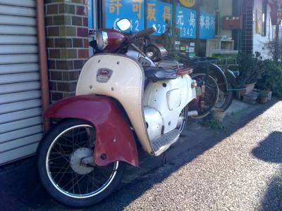 [bike+planter+lineup+small.jpg]