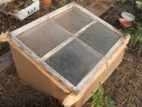 [coldframe+small.jpg]