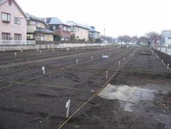 [community+garden+plots+small.jpg]