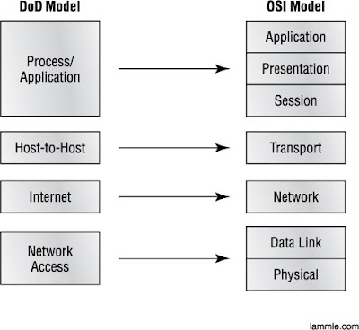 Networks Site: June 2009