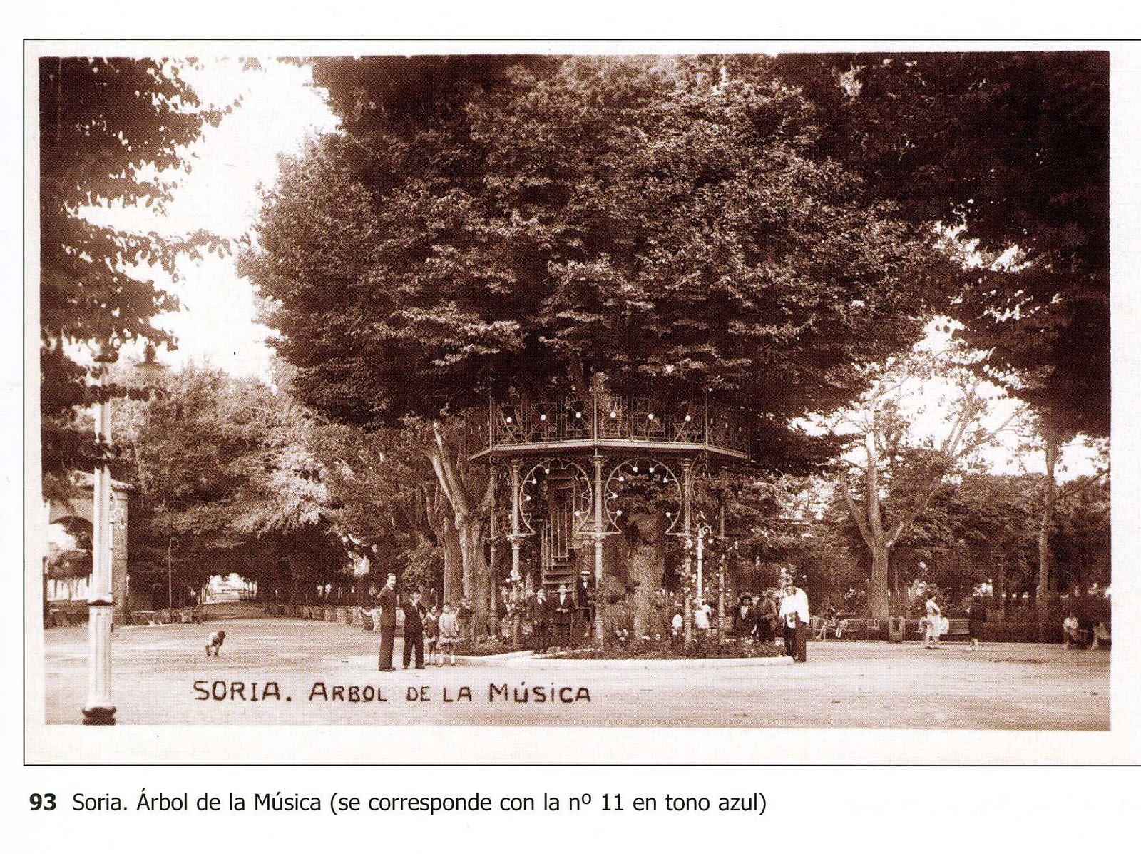 VENERABLES ÁRBOLES : José Pascual - El árbol de la música de Soria