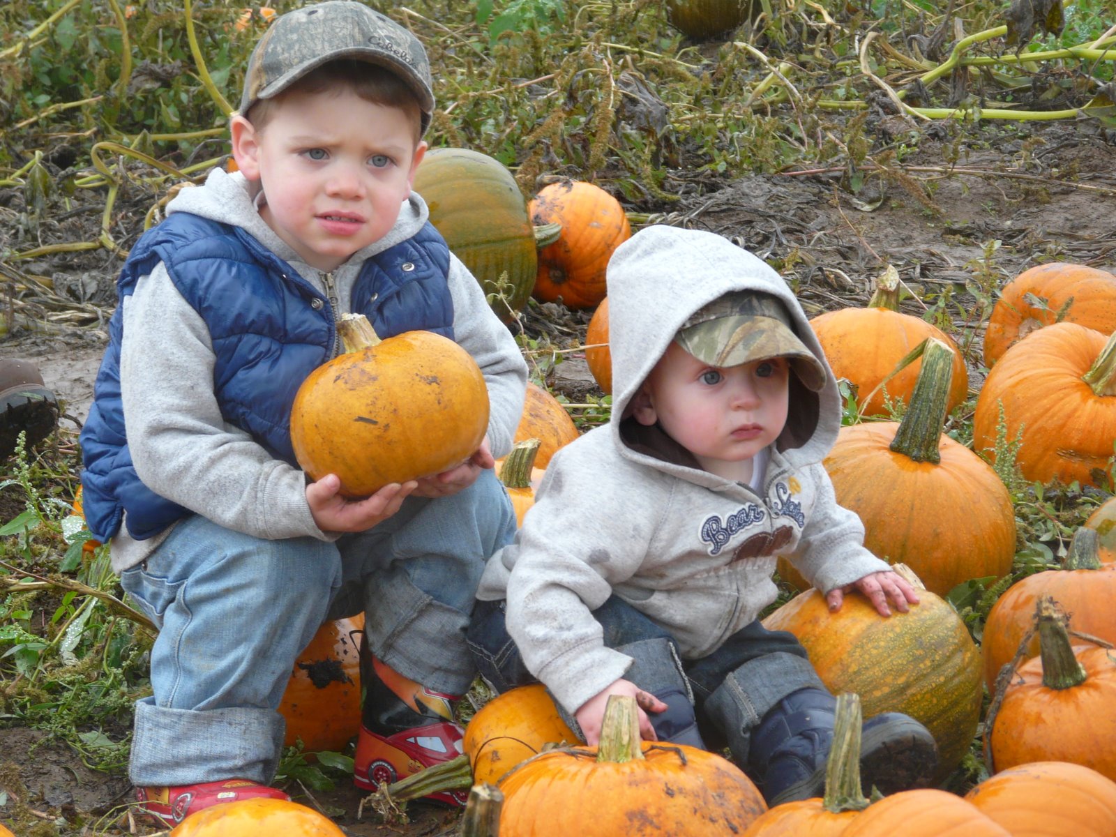 [Pumpkin+Patch+2008+136.jpg]