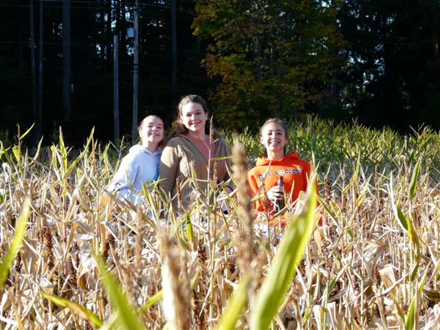 [Oct26+018+(Small).jpg]