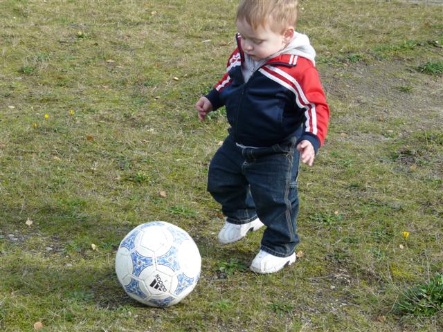 [Nov15+059+(Small).jpg]